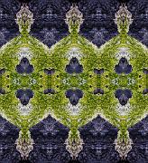 Green Slime 2081 Reflected 6a